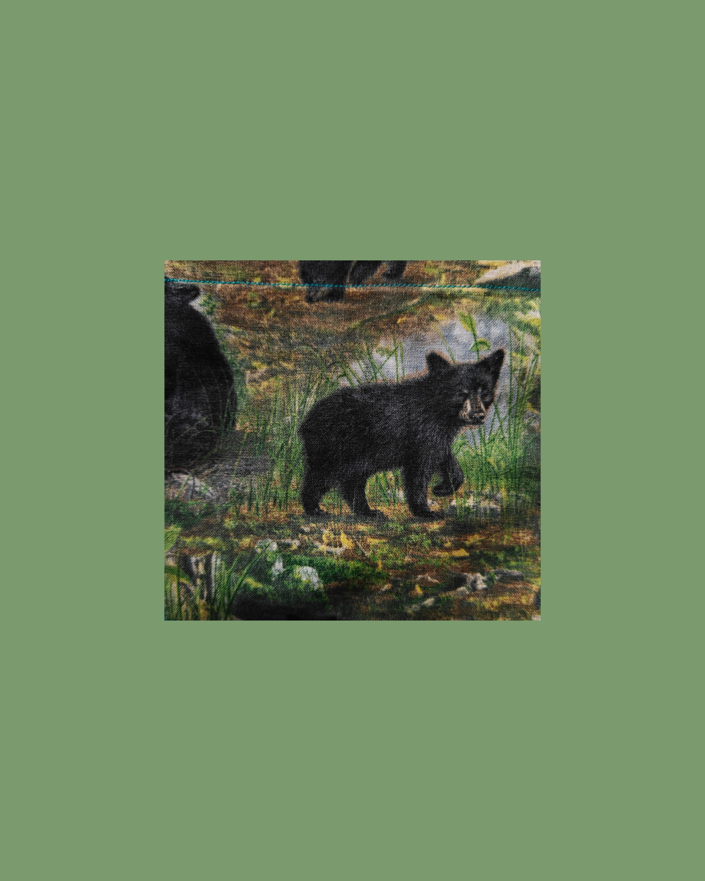 Bear With Me